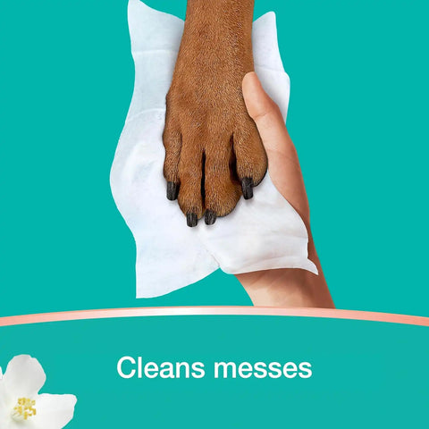 Pampers Wipes, Clean & Calm, Cotton Blossom Scent, 118 Wipes Total (3x Pop-Top Packs)